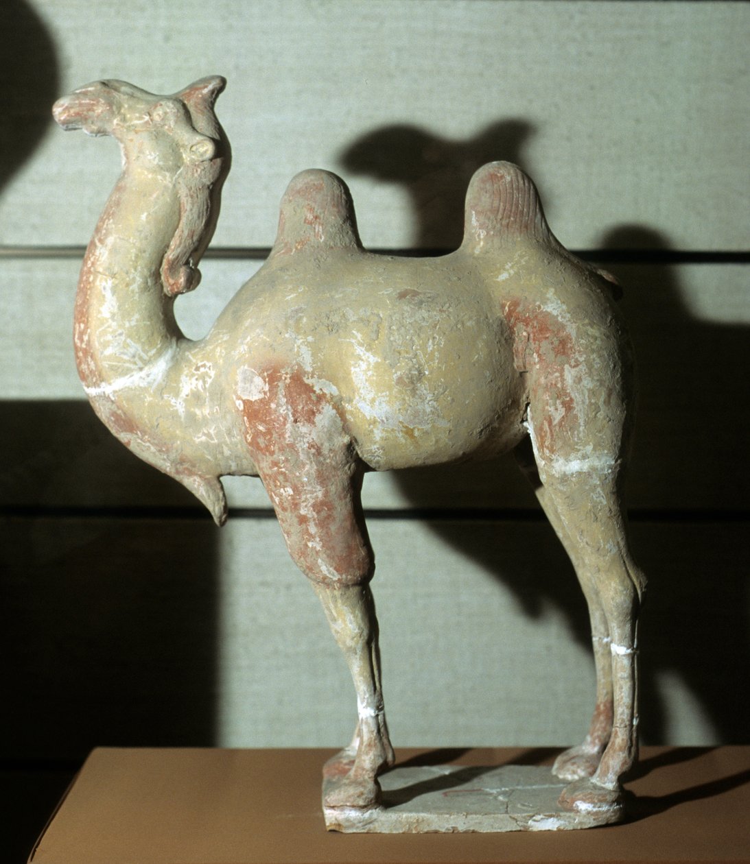 Kolorowy wielbłąd, obiekt pogrzebowy, 618-907 (terakota) autorstwa Tang Dynasty Chinese School