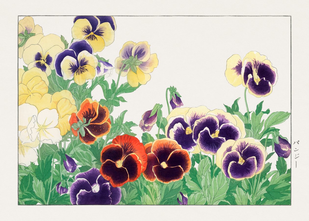 Vintage kwiat bratka z "Seiyou Sokazufu" autorstwa Tanigami Konan