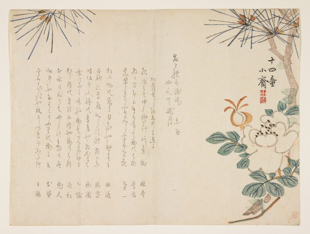 Sosna i kwiat piwonii, 1860 (drzeworyt kolorowy) autorstwa Tanomura Shsai