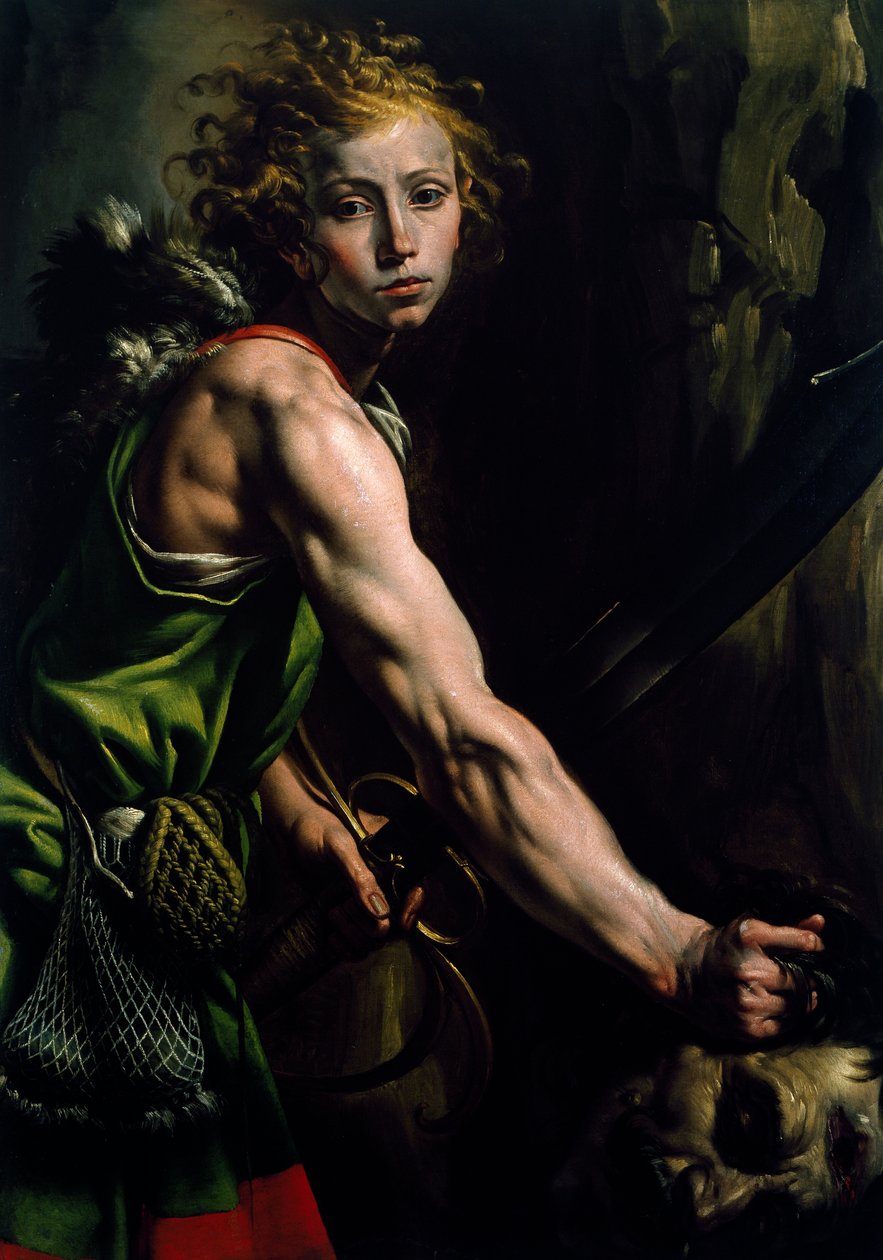 Dawid z głową Goliata, Antonio d