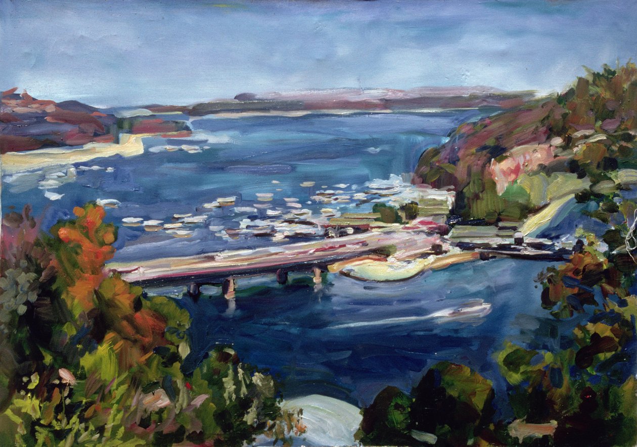 Podział w Sydney, 1995 autorstwa Ted Blackall