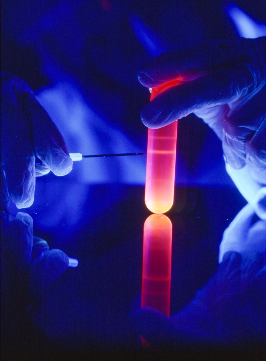 Ekstrakcja nukleotydów RNA z plastikowej probówki wirówkowej. autorstwa Ted Spiegel
