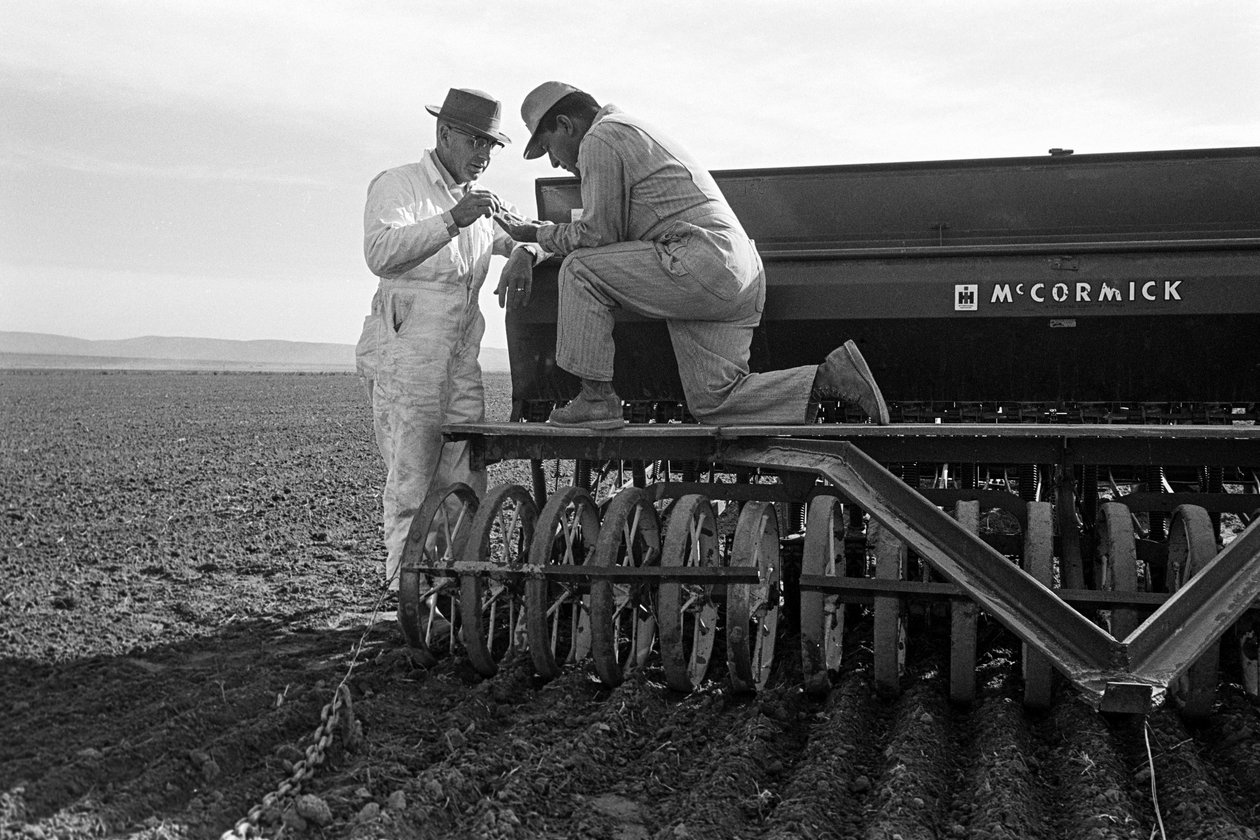 Rodzinny rolnik Ed Ker z A.M. Ker Ranch zajmuje się uprawą roślin... autorstwa Ted Spiegel