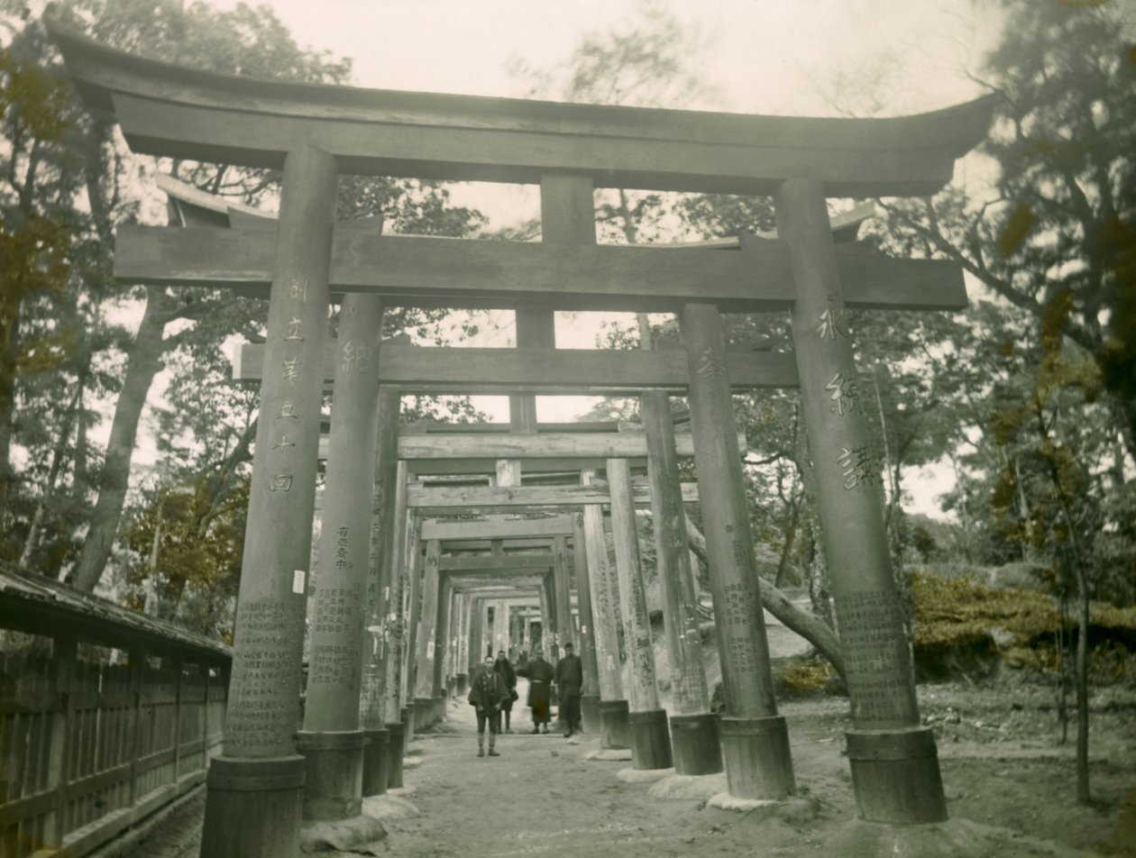Torii w świątyni Inari w Kioto, około 1900-1915 r. (zdjęcie) autorstwa Teijiro Takagi