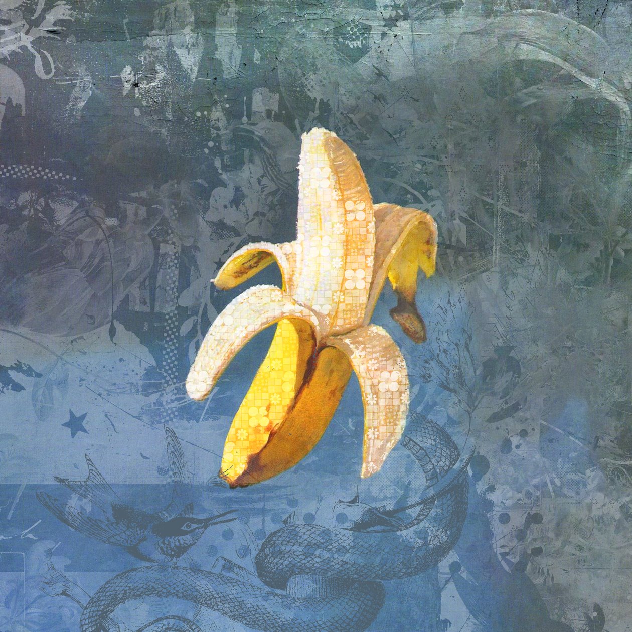 BANANAZ, 2015 (Kolaż na płótnie) autorstwa Teis Albers