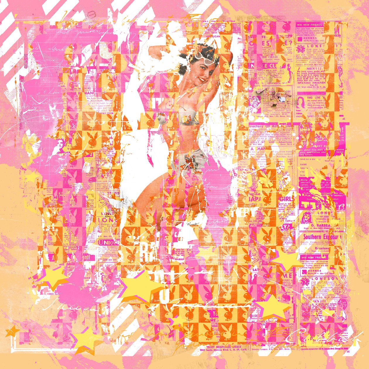 Pinup2, 2014 (media mieszane na płótnie) autorstwa Teis Albers