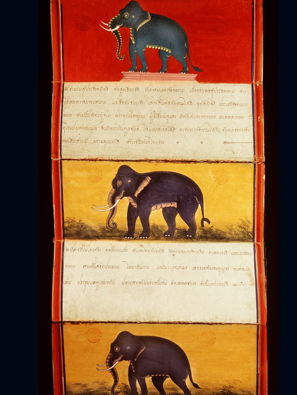 Folio z rękopisu o szkoleniu słoni (pióro i atrament oraz toaleta na papierze) autorstwa Thai School