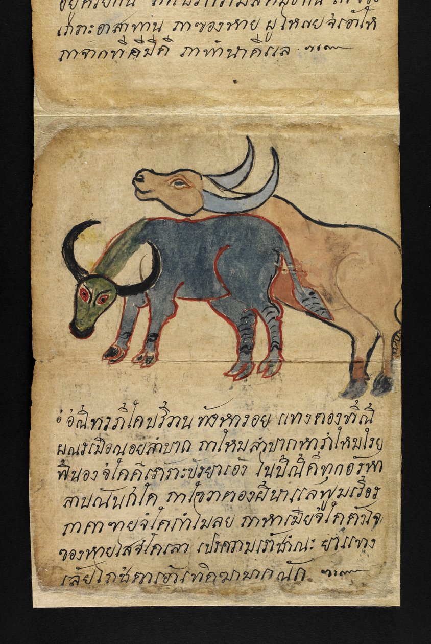 Lub. 16482, f.15 „Satra”  O wróżbiarstwie i poradach dotyczących szczęśliwego i zdrowego życia (książka składana papierowa) autorstwa Thai School