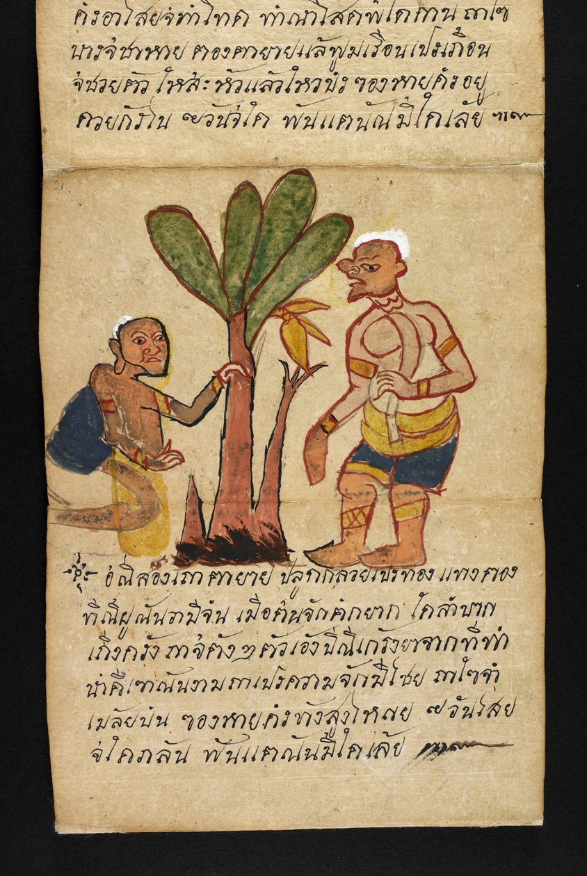 Lub. 16482, f.21 „Satra”  O wróżbiarstwie i poradach dotyczących szczęśliwego i zdrowego życia (książka składana papierowa) autorstwa Thai School