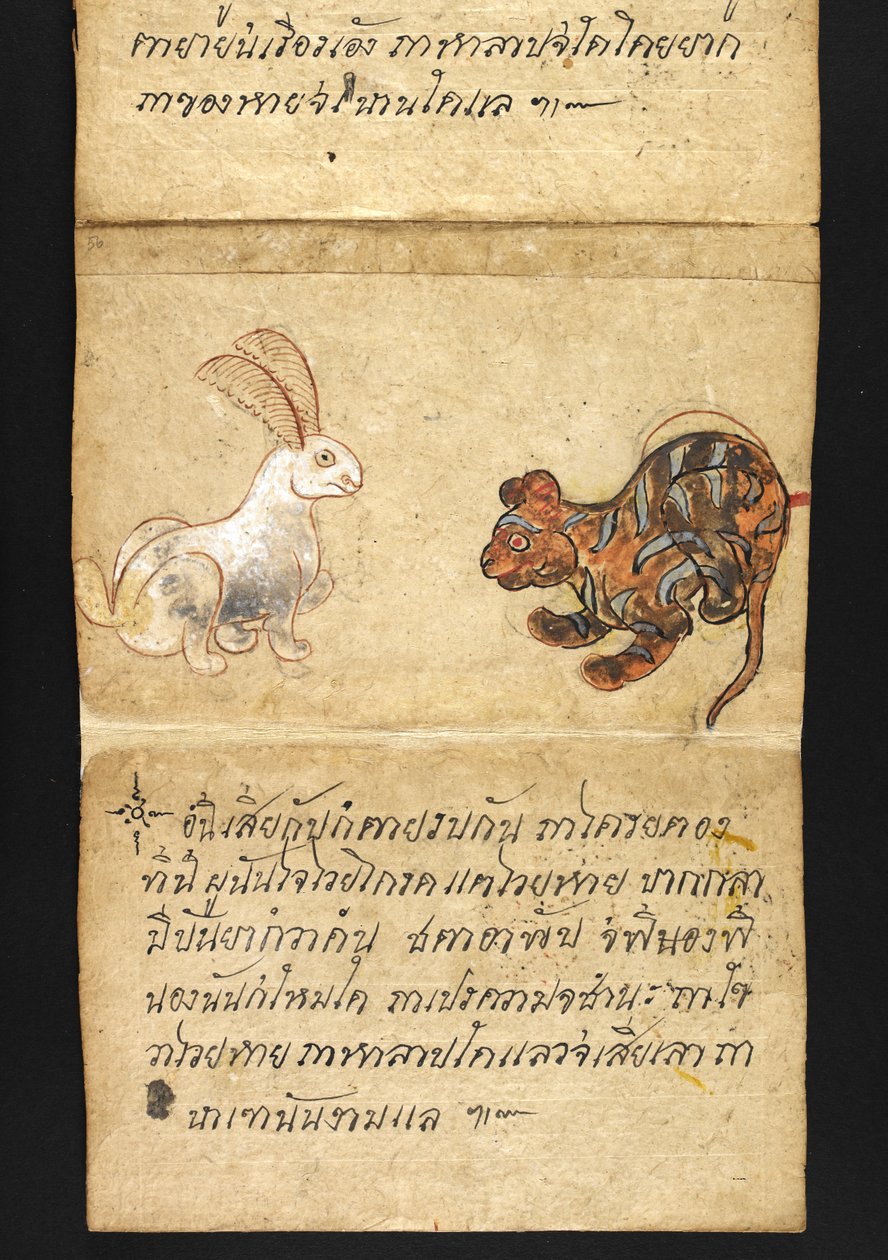 Lub. 16482, f.56 „Satra”  O wróżbiarstwie i poradach dotyczących szczęśliwego i zdrowego życia (książka składana papierowa) autorstwa Thai School