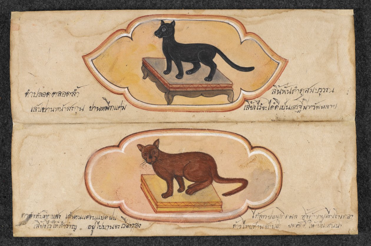Koty Syjamskie, Fol. 1: dwa szczęśliwe koty wspierające biznes i gromadzenie bogactwa, Or. 16797, f.1 (pergamin) autorstwa Thai School
