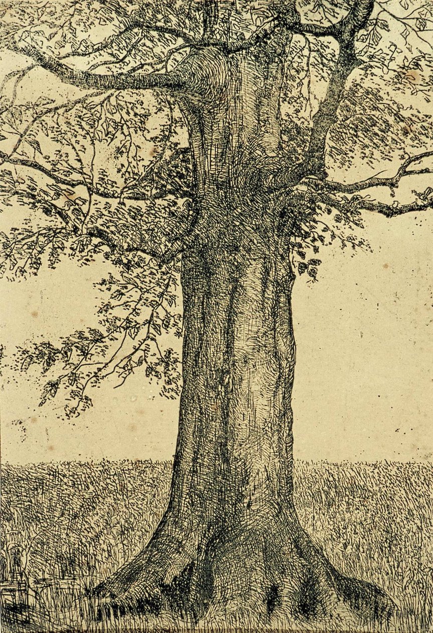 Drzewo autorstwa Theo van Doesburg