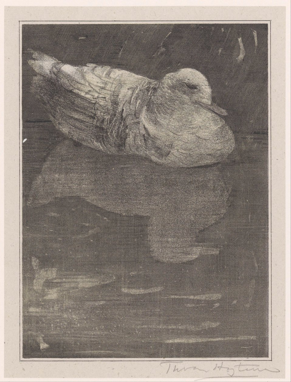 pływająca kaczka autorstwa Theo van Hoytema (signed by artist)