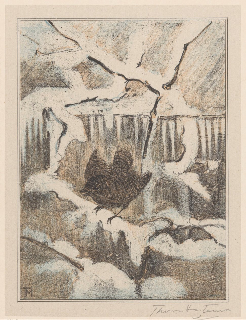 Strzyżyk na śnieżnej gałęzi autorstwa Theo van Hoytema (signed by artist)