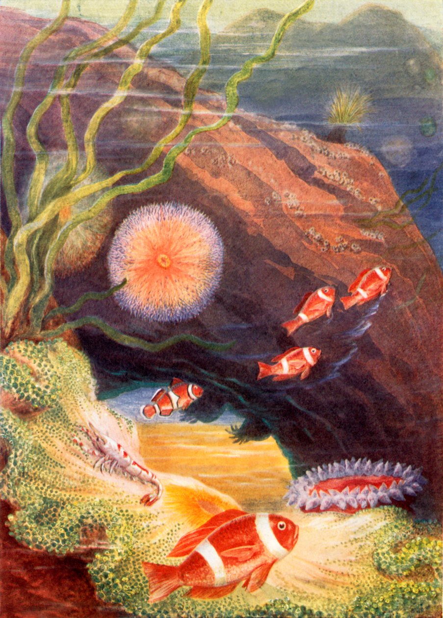  autorstwa Theobald Carreras