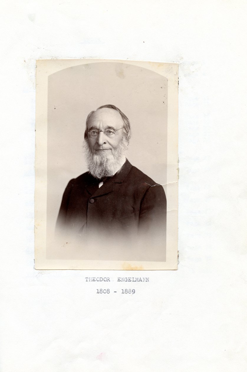 Wspomnienia Teodora Engelmanna autorstwa Theodor Engelmann