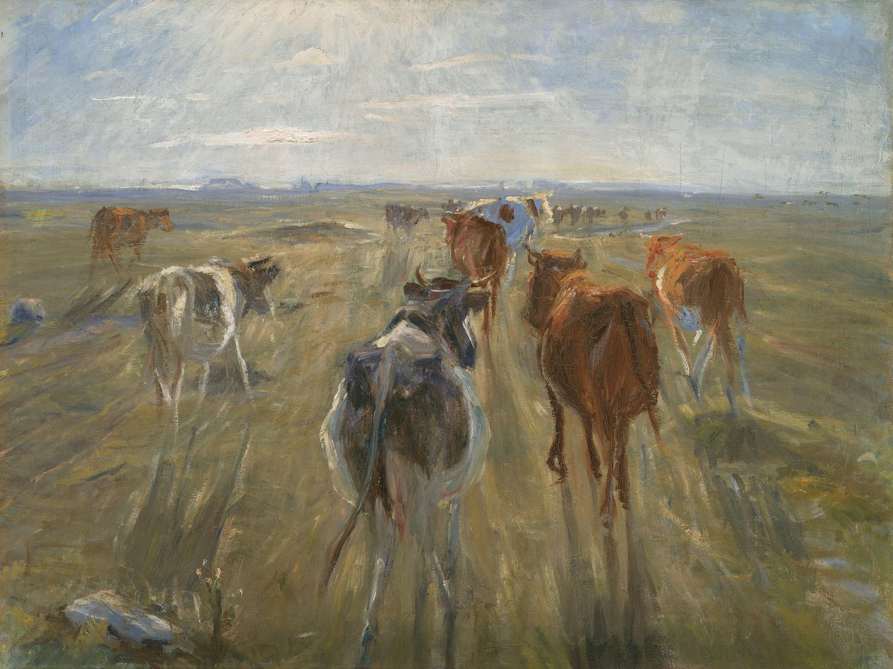 Długie cienie. Bydło na Wyspie Saltholm, ok. 1930 r. 1890 autorstwa Theodor Esbern Philipsen
