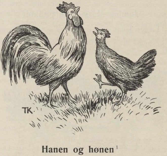 Kogut i Kura autorstwa Theodor Kittelsen
