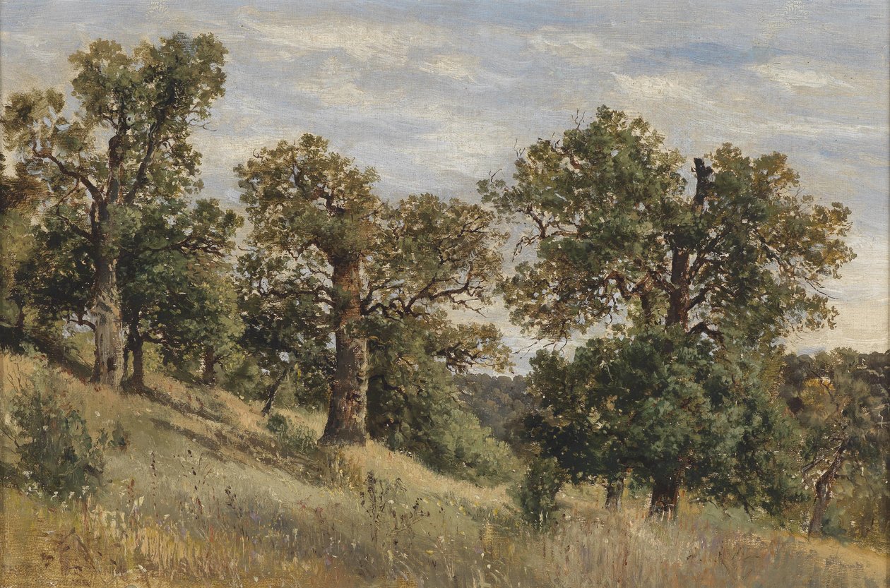 Stok górski z drzewem autorstwa Theodor von Hormann