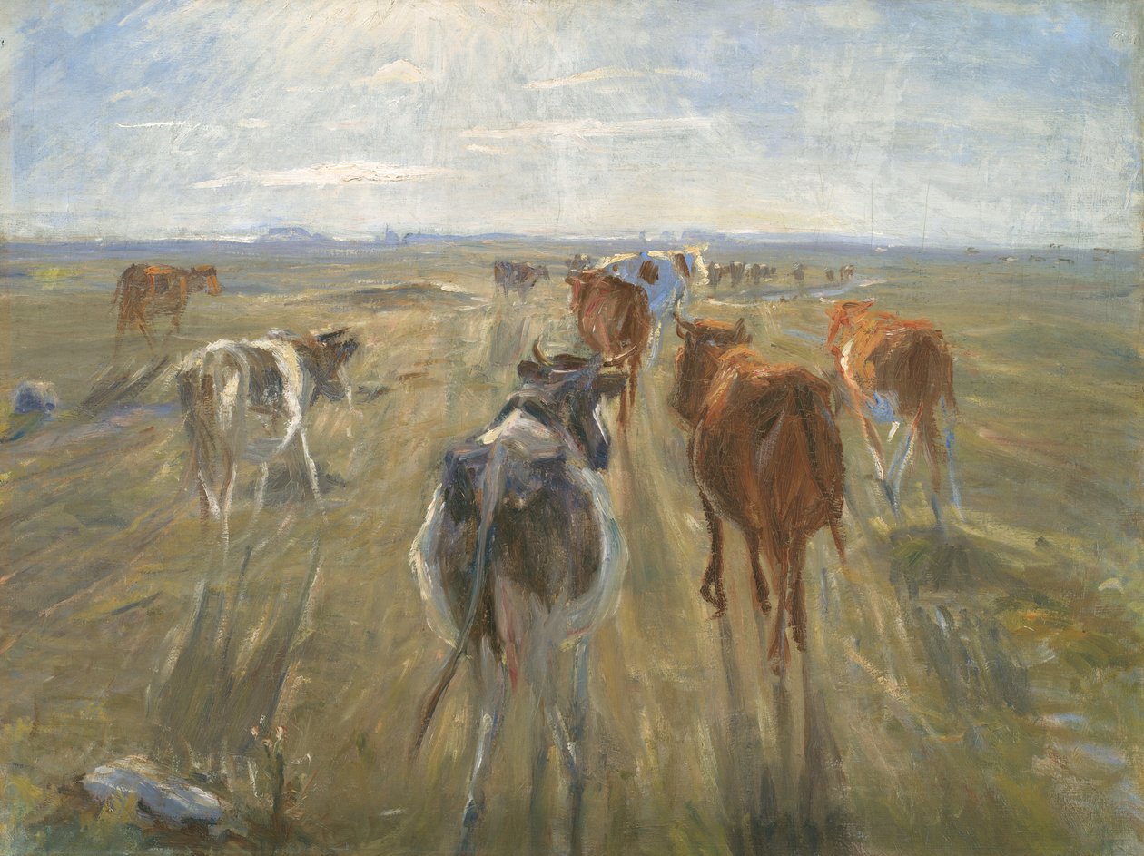 Długie cienie. Bydło na wyspie Saltholm autorstwa Theodor Philipsen