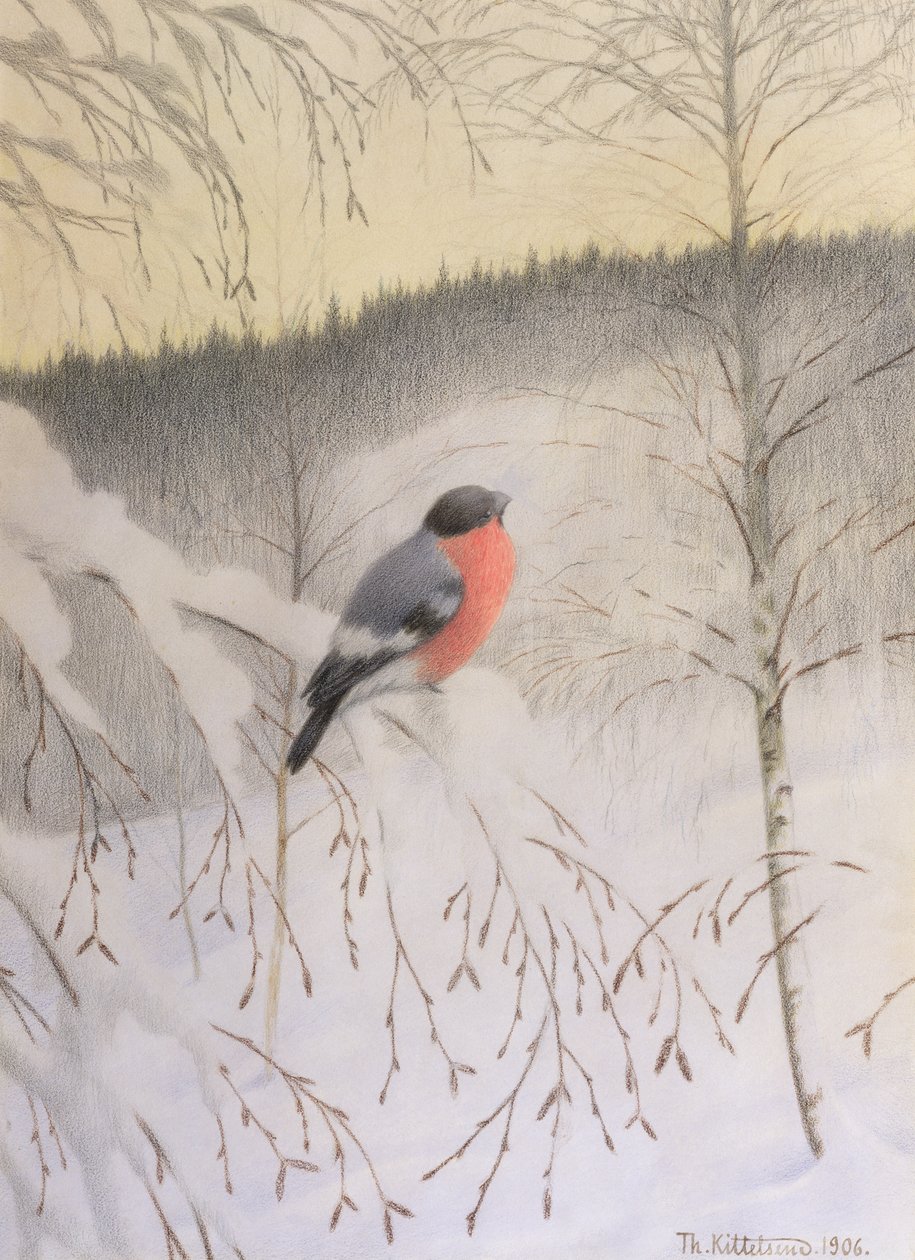Gil zwyczajny na Mroźnej Gałązce autorstwa Theodor Kittelsen
