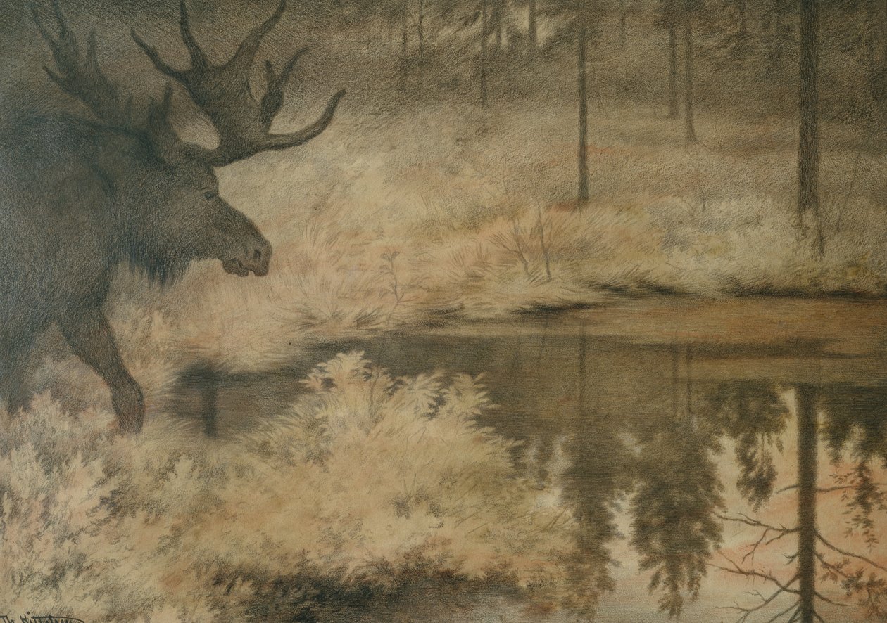 Łoś przychodzi ugasić pragnienie autorstwa Theodor Kittelsen