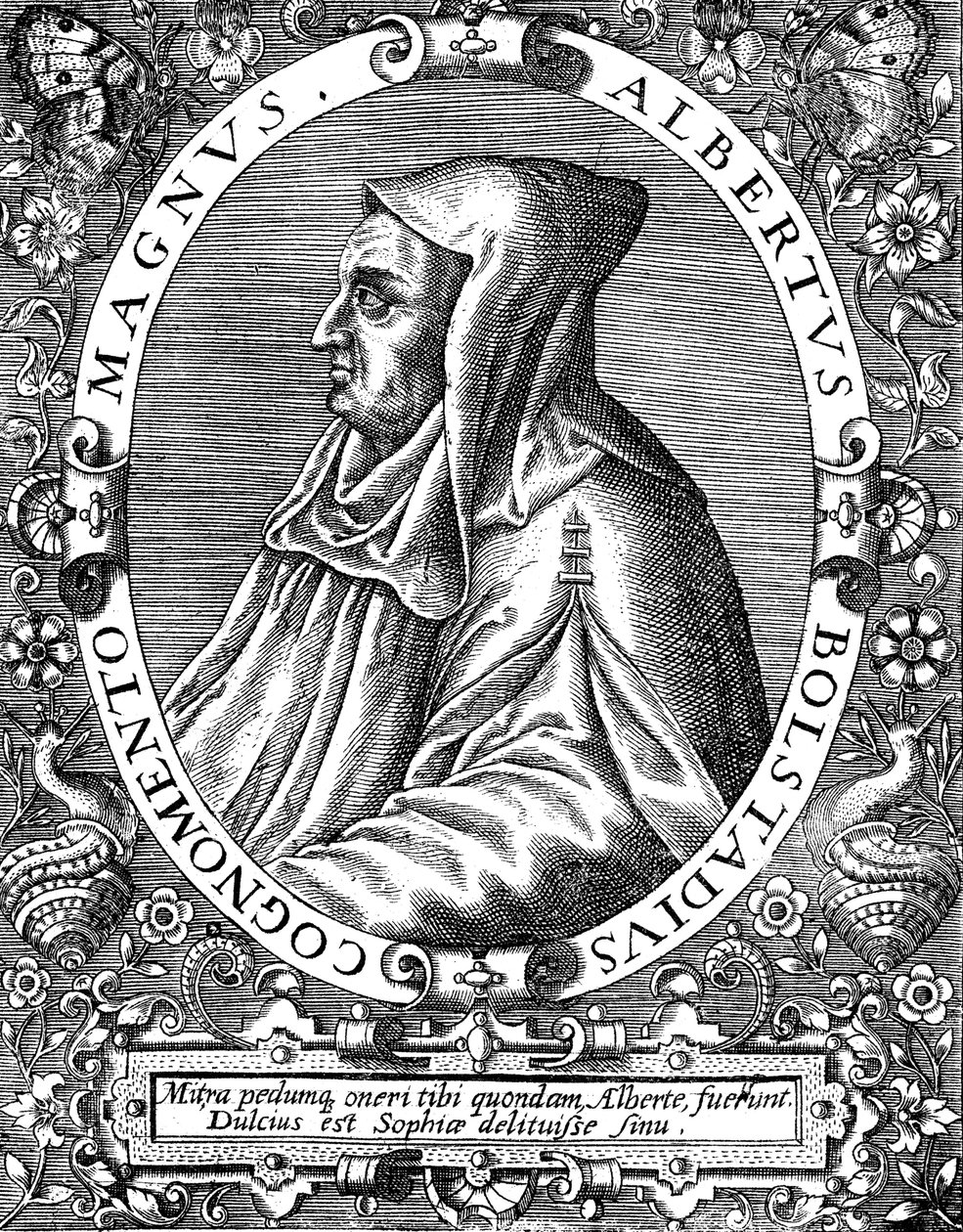 Albertus Magnus c1200-1280 dominikanin urodzony w Niemczech, koniec XVI wieku autorstwa Theodor de Bry