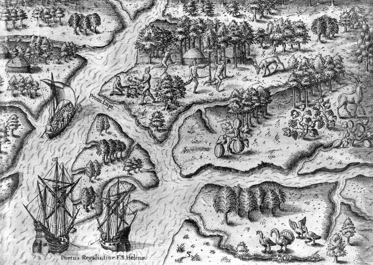 Francuska ekspedycja ląduje w Port Royal na Florydzie autorstwa Theodor de Bry