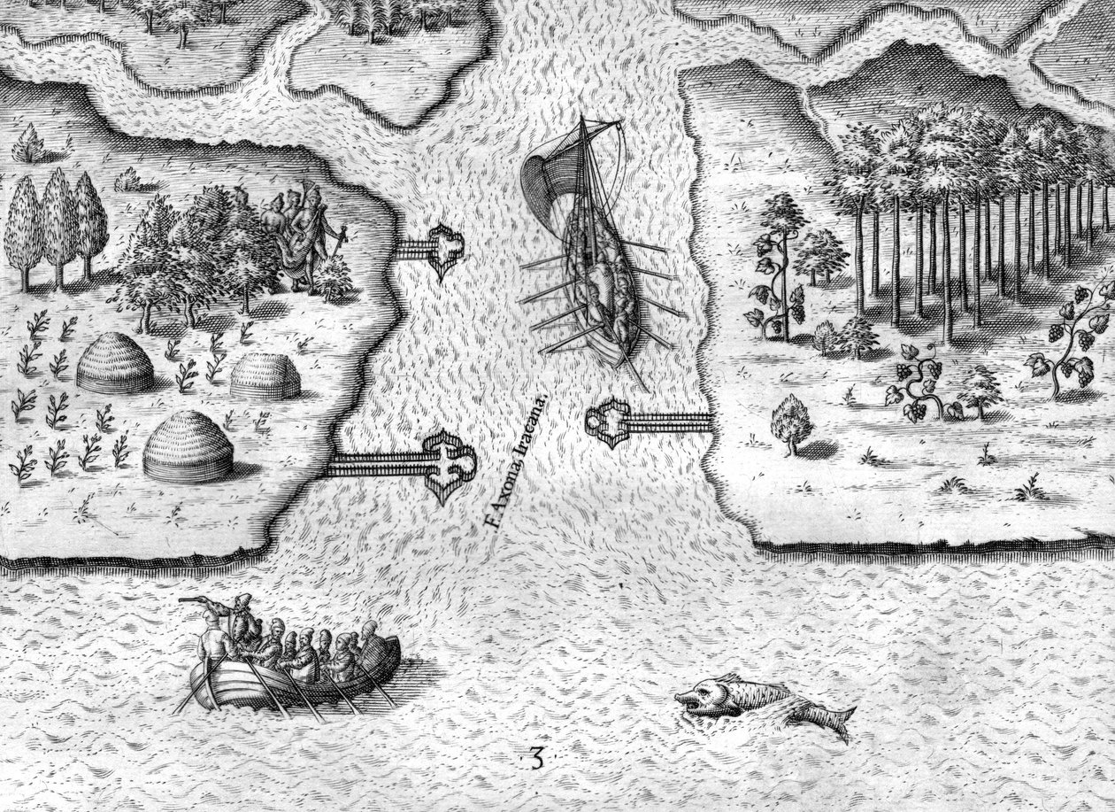 Francuskie liście River May autorstwa Theodor de Bry
