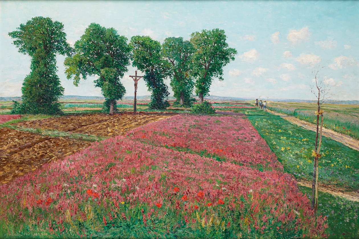 Duże pole estrofibry w Znojmie IV autorstwa Theodor von Hormann
