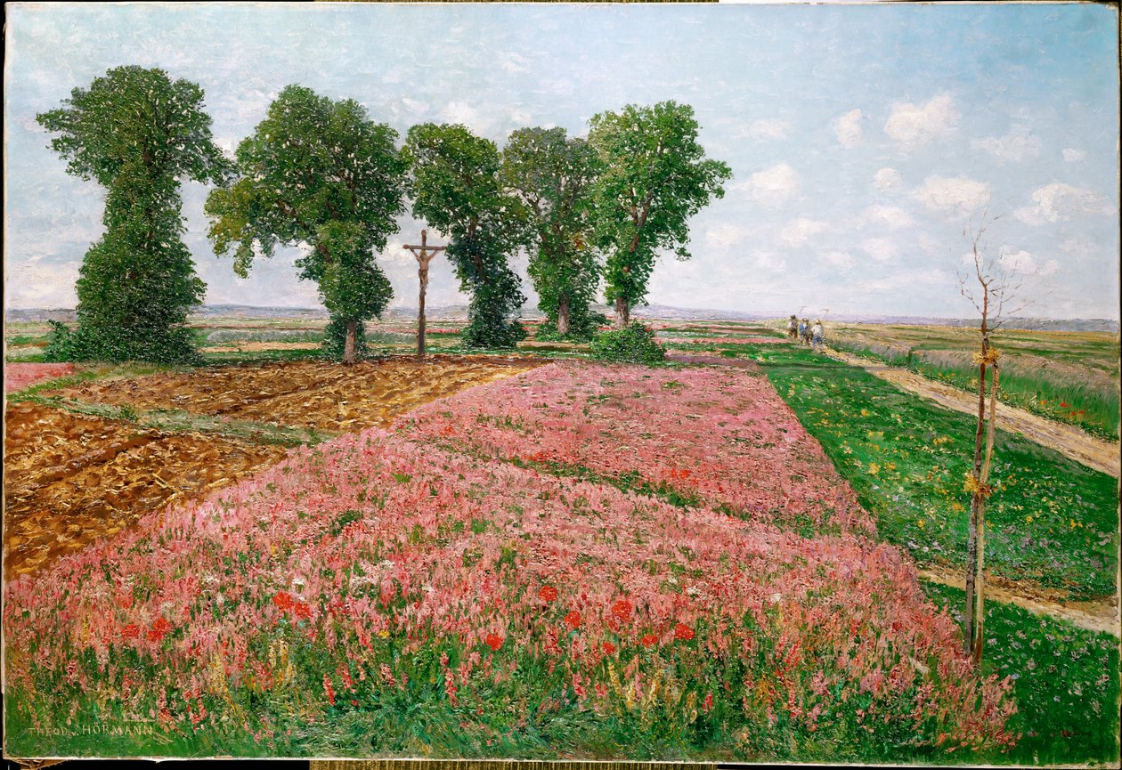 Esparette fields (olej na płótnie) autorstwa Theodor von Hormann