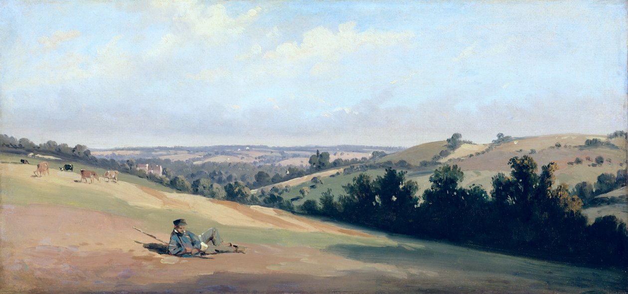 Młody mężczyzna leżący na zboczach, ok. 1833-35 (olej na papierze) autorstwa Theodore Caruelle d Aligny