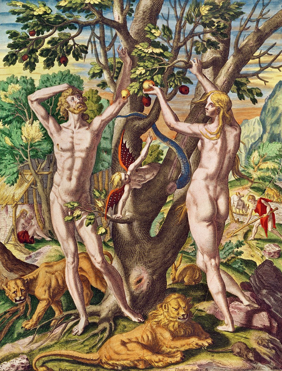 Admiranta Narratio.... Adam i Ewa (strona 40), 1585-1588 (rycina kolorowa) autorstwa Theodore de Bry