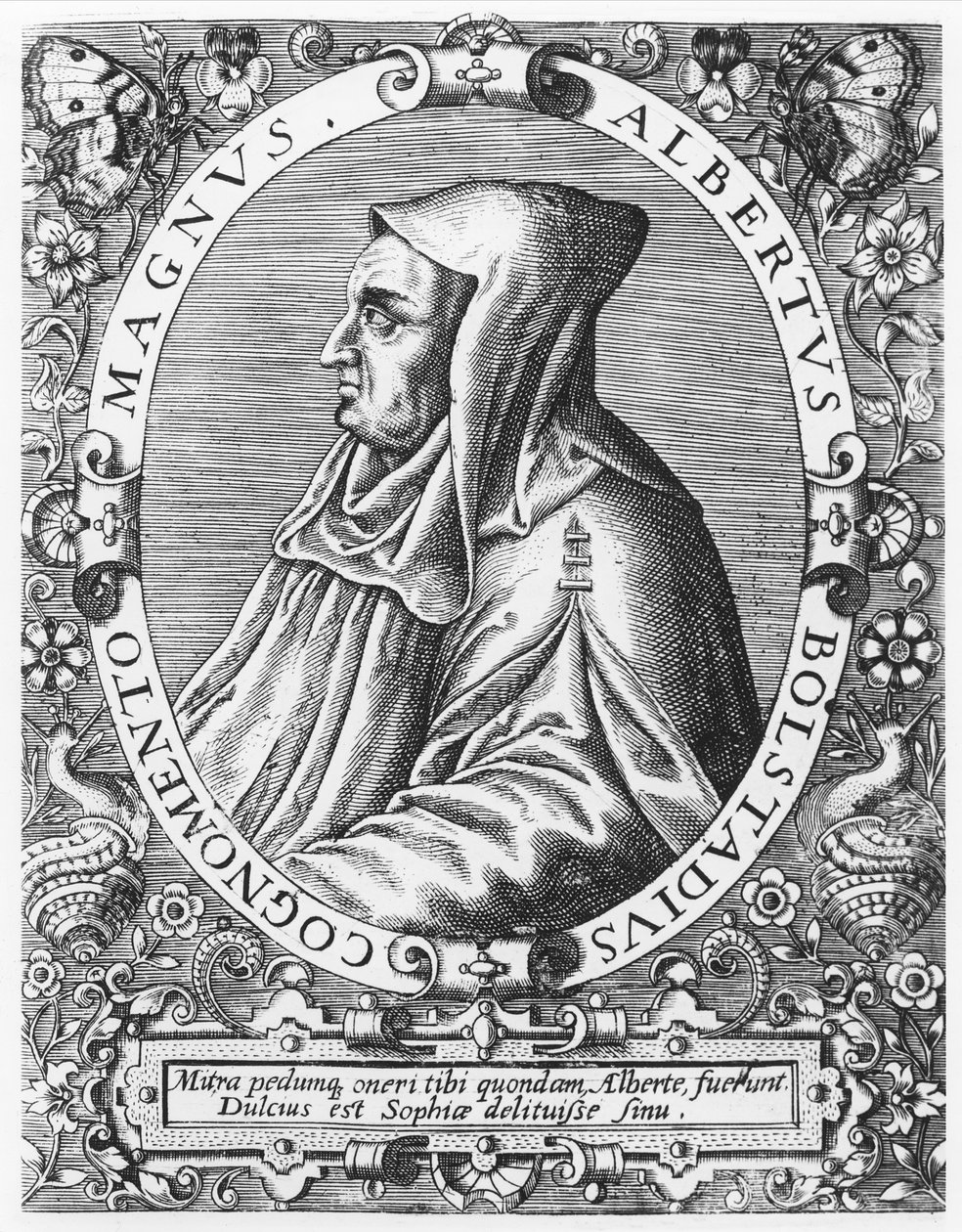 Albertus Magnus autorstwa Theodore de Bry