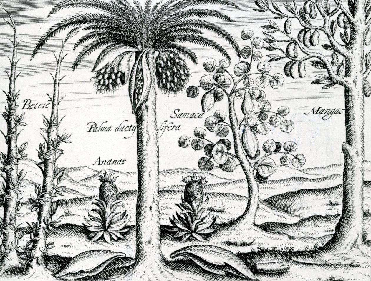 Krajobraz, ilustracja z 