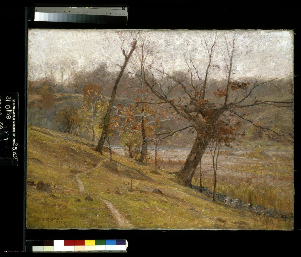A flor da uva (óleo sobre tela) polonês autorstwa Theodore Clement Steele