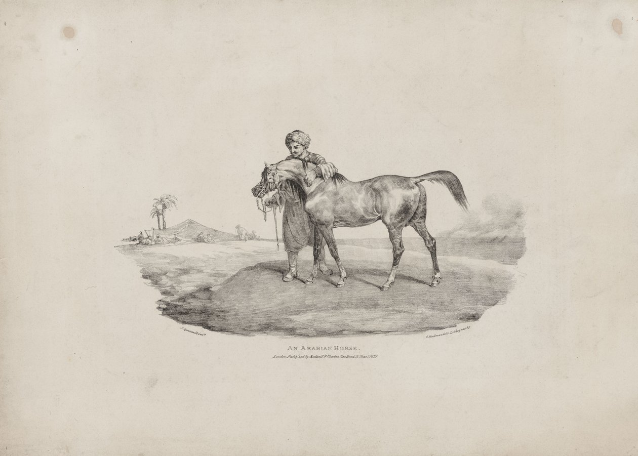 Koń arabski autorstwa Theodore Gericault