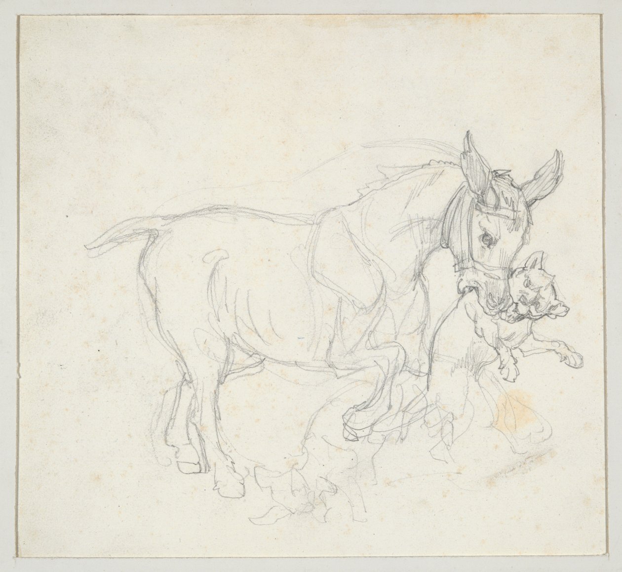 Osioł trzymający psa w pysku (strona przednia); Studium jelenia ściganego przez psy, głowa łani (strona tylna) autorstwa Theodore Gericault