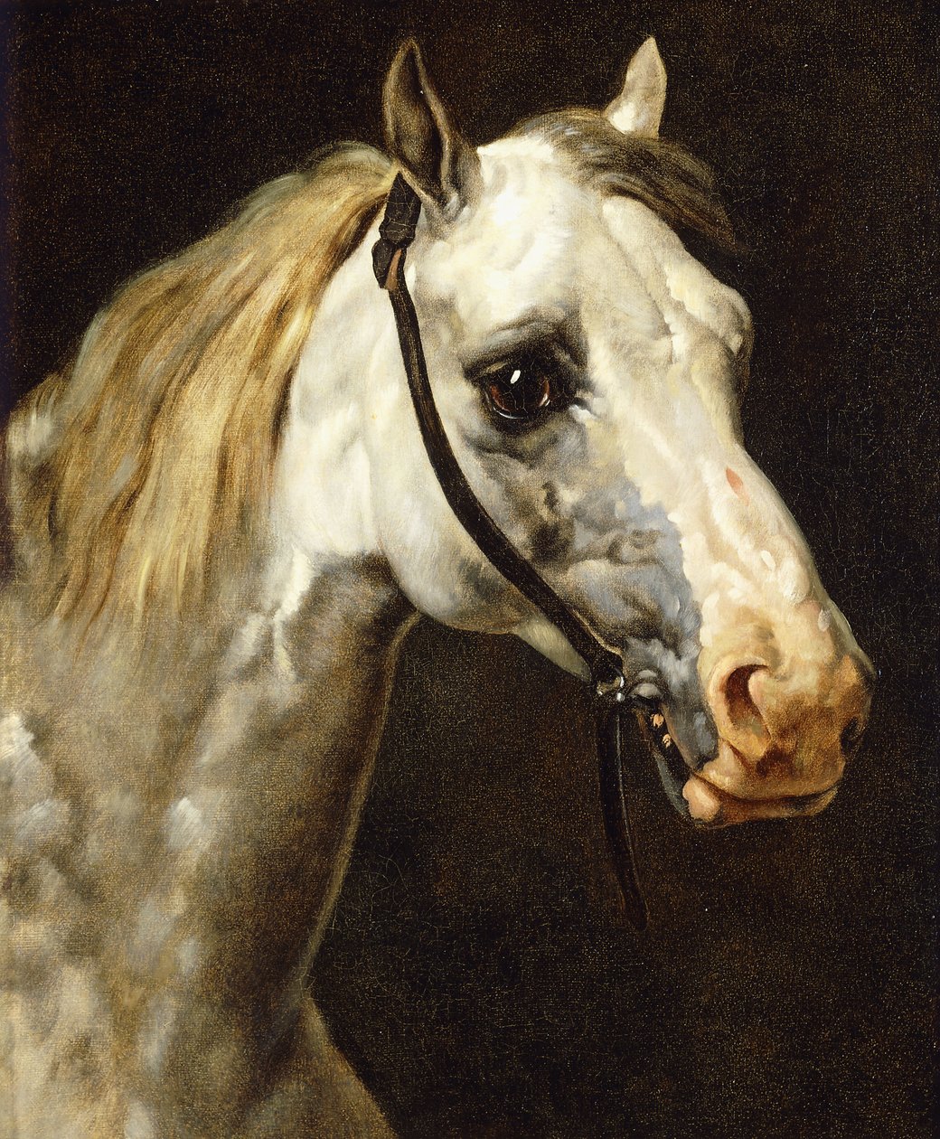 Głowa Srokatego Konia, autorstwa Theodore Gericault