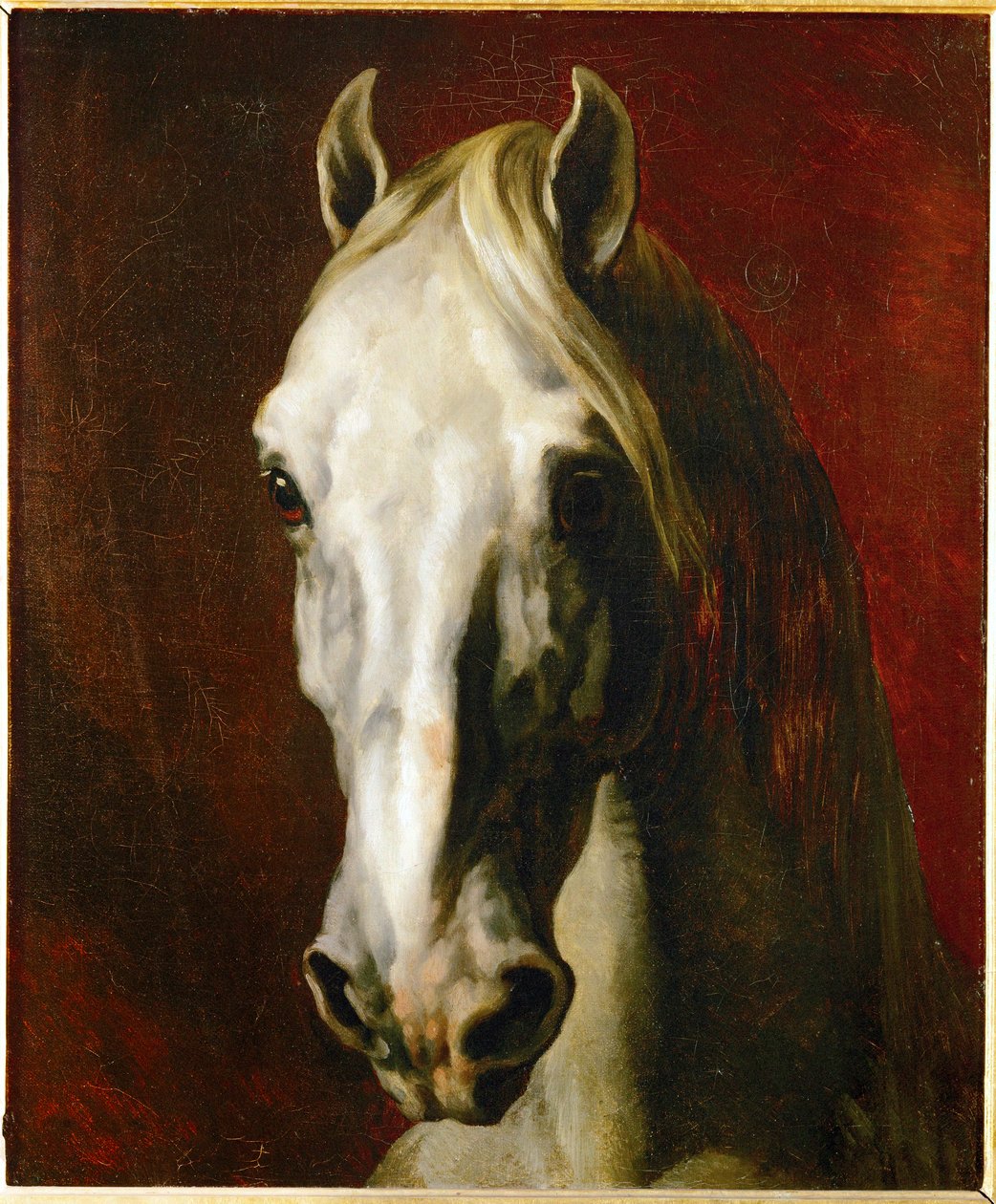 Głowa białego konia ... autorstwa Theodore Gericault