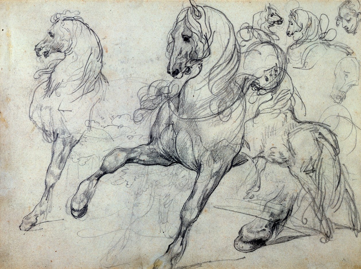 Konie autorstwa Theodore Gericault
