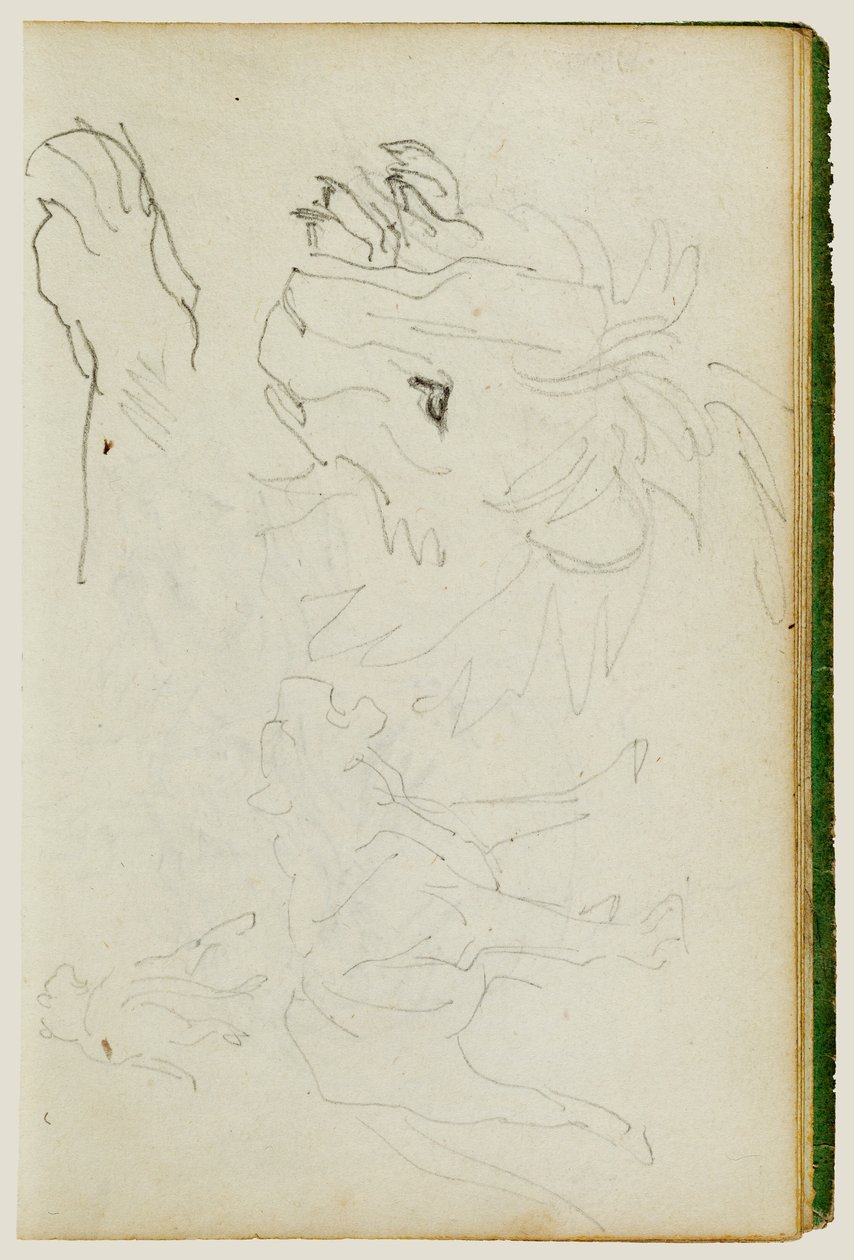 Badania nad lwami autorstwa Theodore Gericault