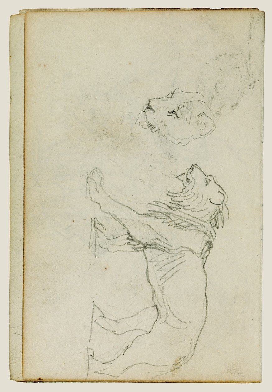Idący lew, głowa lwicy autorstwa Theodore Gericault