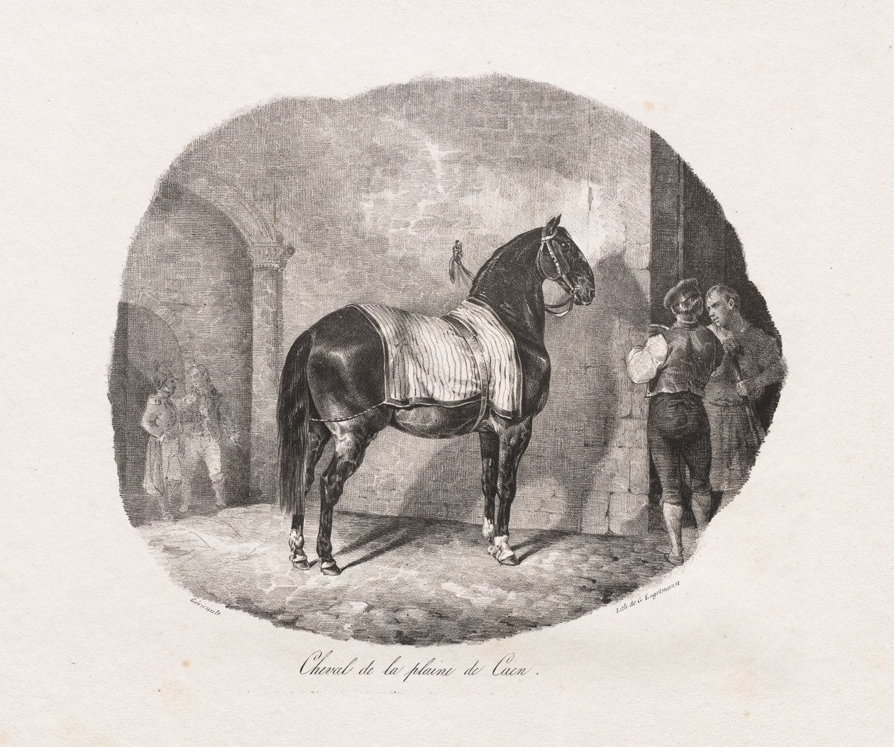 Studia litograficzne koni: Pl. 7, Koń z równiny Caen autorstwa Theodore Gericault