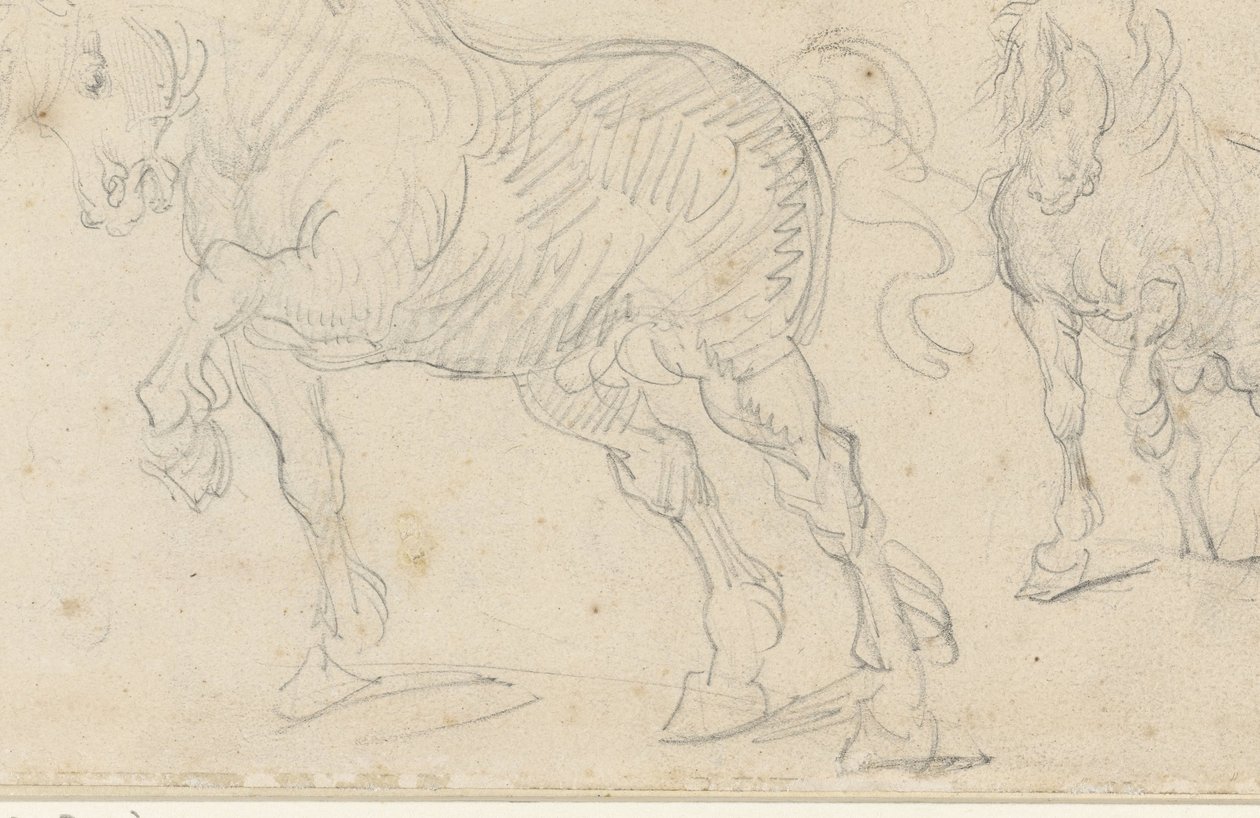 Studia dotyczące koni autorstwa Theodore Gericault