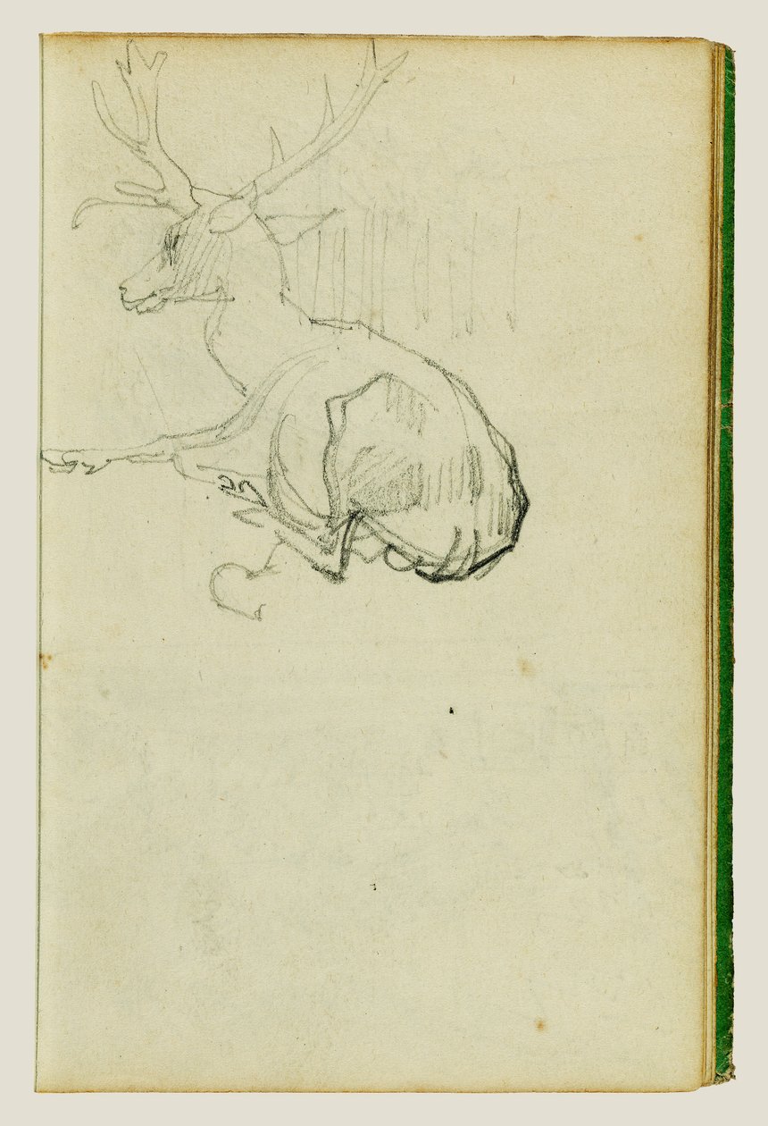 Siedzący jeleń autorstwa Theodore Gericault