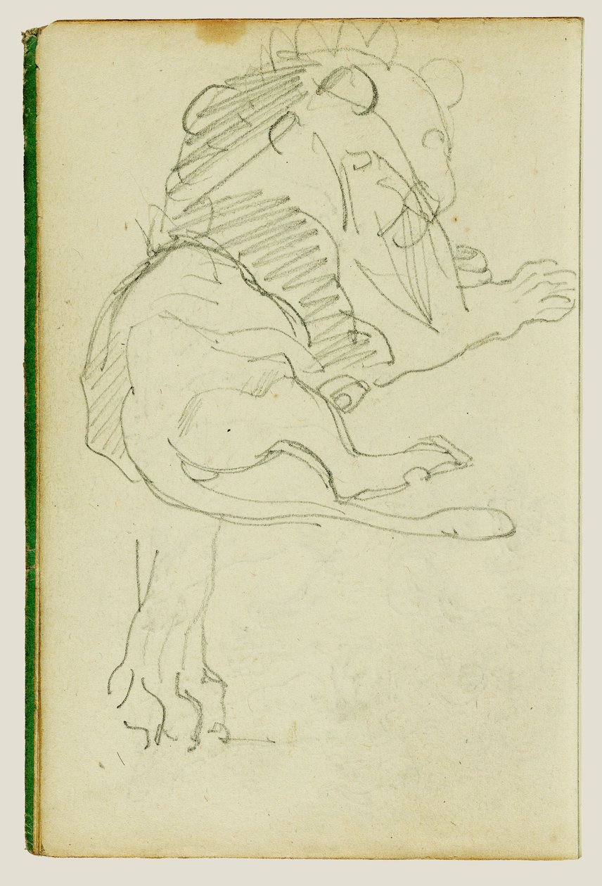 Siedzący lew autorstwa Theodore Gericault