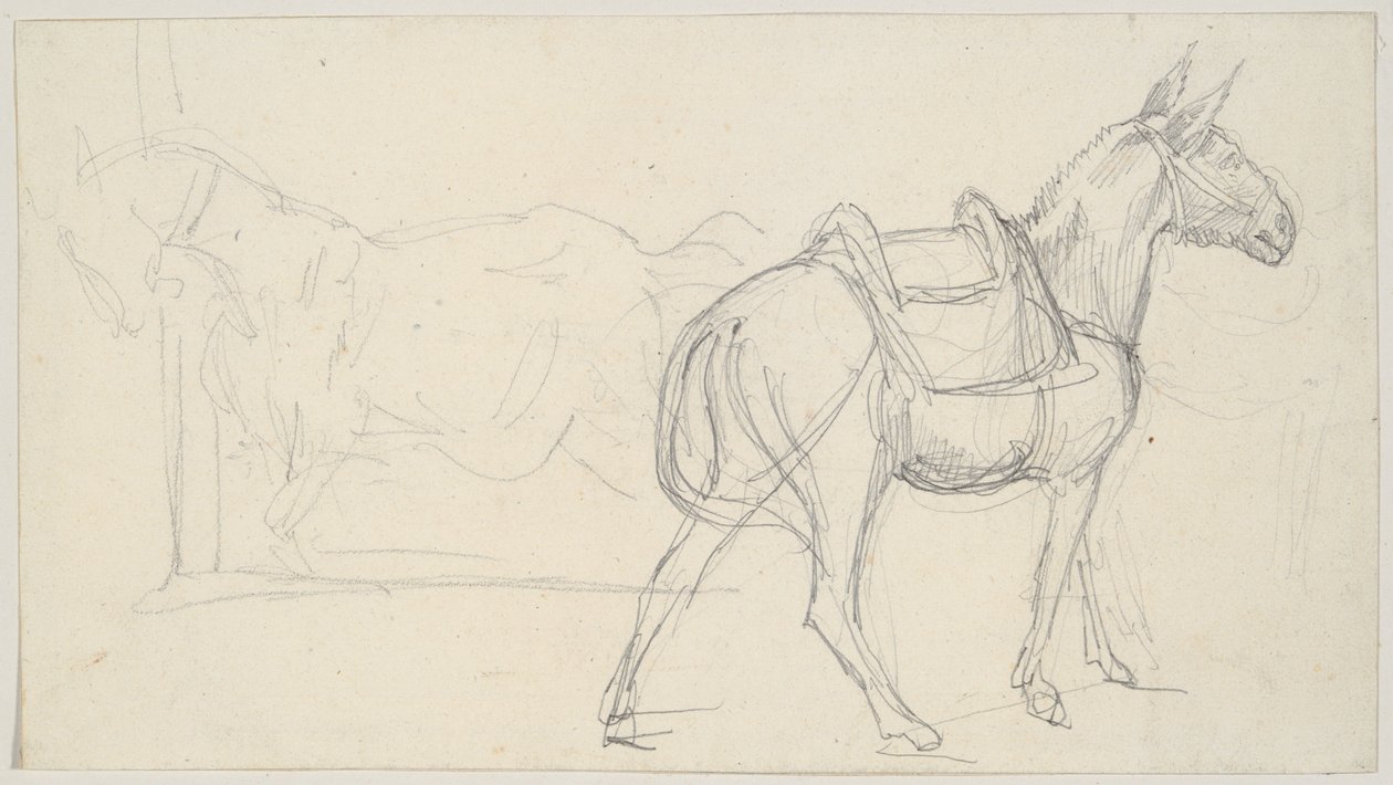 Szkic konia autorstwa Theodore Gericault