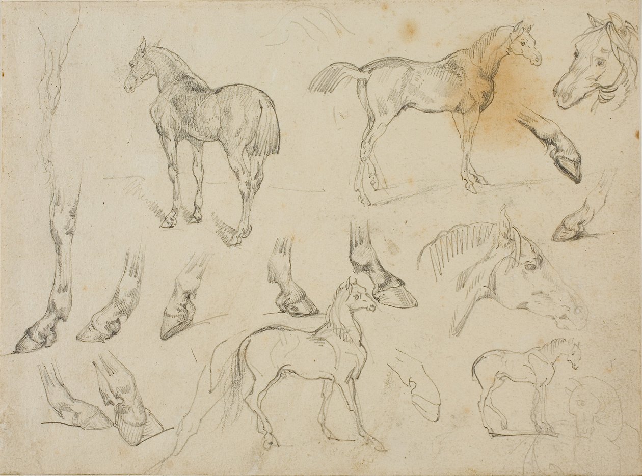 Szkice konia autorstwa Theodore Gericault