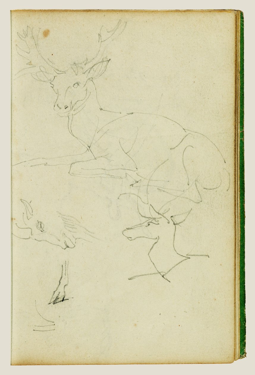 Studium siedzącego jelenia, jelonka i głowy kozy autorstwa Theodore Gericault